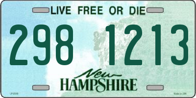NH license plate 2981213