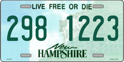 NH license plate 2981223