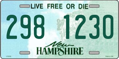 NH license plate 2981230