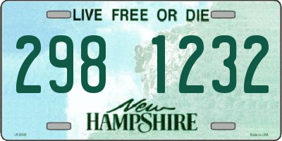 NH license plate 2981232