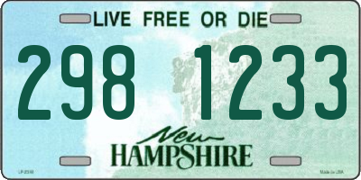 NH license plate 2981233