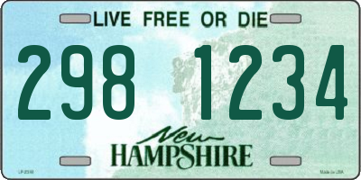 NH license plate 2981234