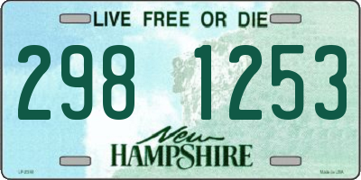 NH license plate 2981253