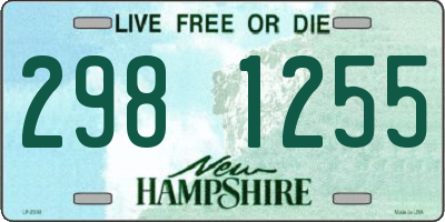 NH license plate 2981255