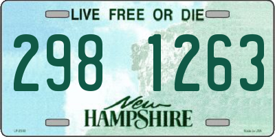 NH license plate 2981263