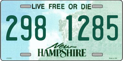 NH license plate 2981285