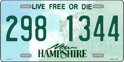 NH license plate 2981344