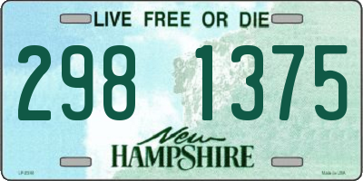 NH license plate 2981375