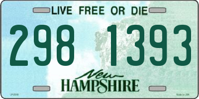 NH license plate 2981393