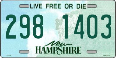 NH license plate 2981403