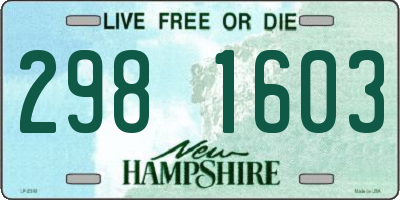 NH license plate 2981603