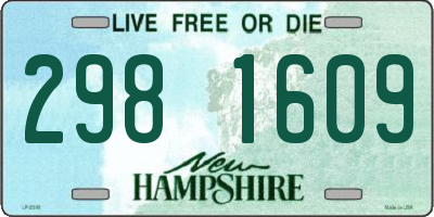NH license plate 2981609