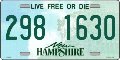 NH license plate 2981630