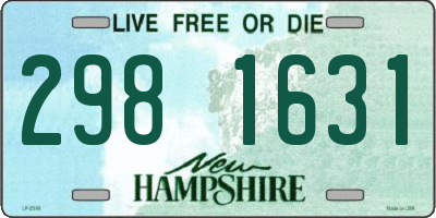 NH license plate 2981631
