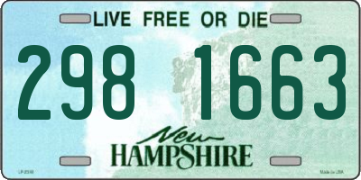 NH license plate 2981663