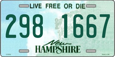 NH license plate 2981667