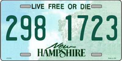NH license plate 2981723