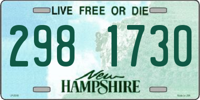 NH license plate 2981730