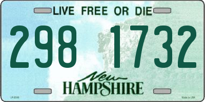 NH license plate 2981732