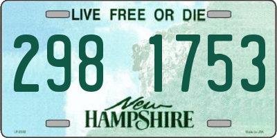 NH license plate 2981753
