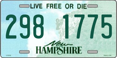 NH license plate 2981775