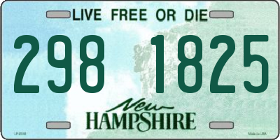NH license plate 2981825