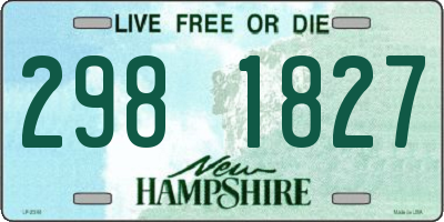 NH license plate 2981827