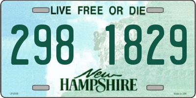 NH license plate 2981829