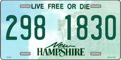 NH license plate 2981830