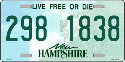 NH license plate 2981838