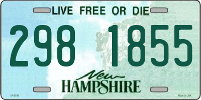 NH license plate 2981855
