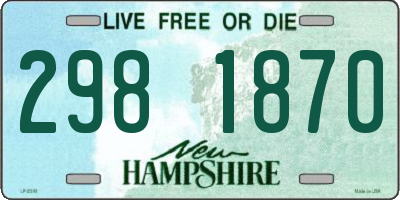 NH license plate 2981870