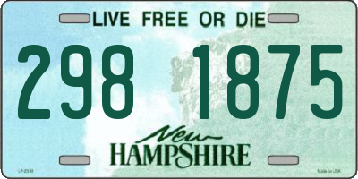 NH license plate 2981875