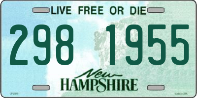 NH license plate 2981955
