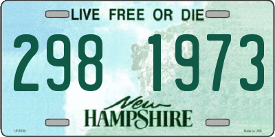 NH license plate 2981973