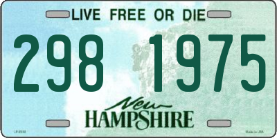 NH license plate 2981975