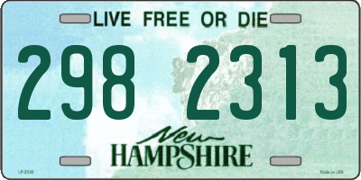 NH license plate 2982313