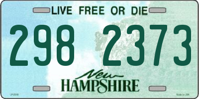 NH license plate 2982373