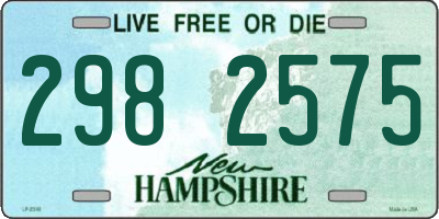 NH license plate 2982575