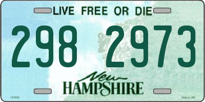NH license plate 2982973