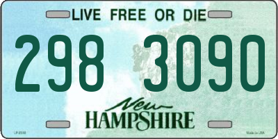 NH license plate 2983090