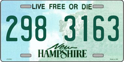 NH license plate 2983163