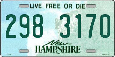 NH license plate 2983170