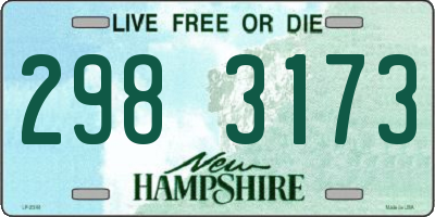 NH license plate 2983173