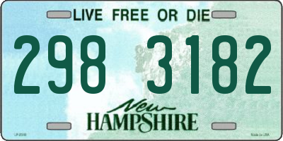 NH license plate 2983182