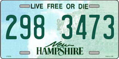 NH license plate 2983473