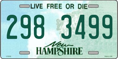 NH license plate 2983499