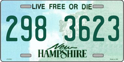 NH license plate 2983623