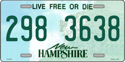 NH license plate 2983638