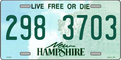 NH license plate 2983703